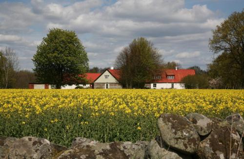 Kivik Apartment | Oceanfront Stenrosgården: Guest Rated 9.4/10 Family Retreat
