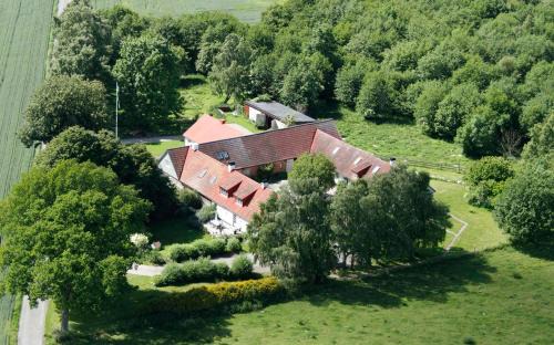Kivik Apartment | Oceanfront Stenrosgården: Guest Rated 9.4/10 Family Retreat
