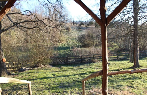 Jonesborough Cabin | Experience the 1880 Historic Cabin with Ocean Views