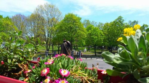 Salem Hotel | Pet-Friendly Stepping Stone Inn - Wheelchair Accessible Retreat