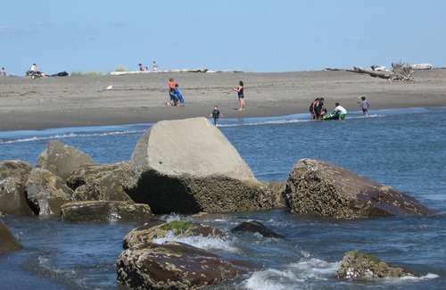 Ocean Shores Cottage | Beachside Retreat with Ocean Views & Pet-Friendly Perks