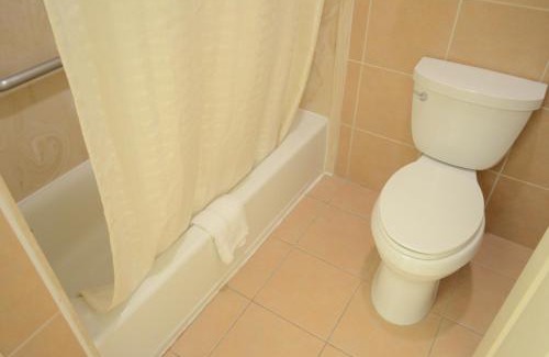 South Main Hotel | Convenient Sterling Inn & Suites Near Medical Center Houston