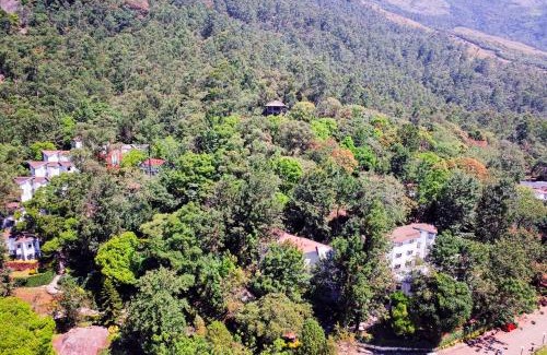 Udumbanchola Resort | Relaxing Retreat at Sterling Munnar with Pool & Spa