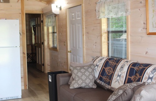 Bradford Cabin | Pet-Friendly Log Cabin Retreat at Lamoka Lake