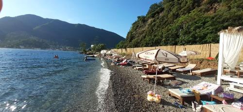 Lepetane Apartment | Pet-Friendly Stevovic Apartments with Oceanfront Views