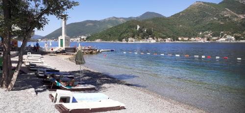 Lepetane Apartment | Pet-Friendly Stevovic Apartments with Oceanfront Views