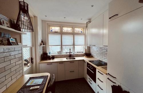 Park Merwestein en omgeving Apartment | Guest Rated 10/10: Gezellige Benedenwoning Singel