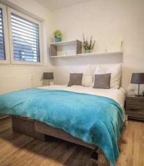 Reinheim Apartment | Stylish Apartment with Parking and Wheelchair Access