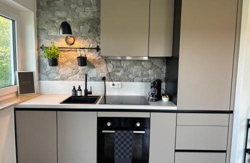 Herbertingen Apartment | Stylish Apartment by Thermal Spa with Scenic Nature Views