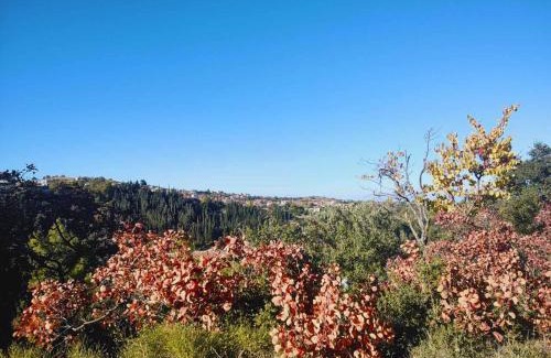 Corinthia Region House | Unforgettable Stays at Sto Dimeiko - Perfect for Families & Pets