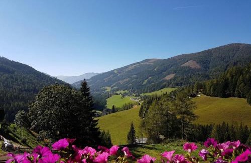 Bad Kleinkirchheim Apartment | Pet-Friendly Stoanock Diamant: Rated 10/10 for Comfort