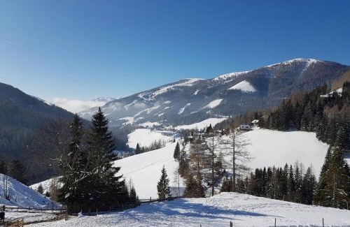 Bad Kleinkirchheim Apartment | Pet-Friendly Stoanock Diamant: Rated 10/10 for Comfort