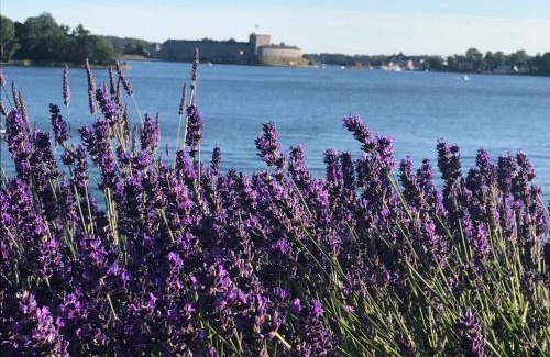 Vaxholm House | Explore Stockholms skärgård: Family & Pet-Friendly Getaway
