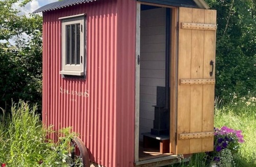 Woodbridge Cabin | Stompy's Hut: Cozy Retreat in a Peaceful Setting