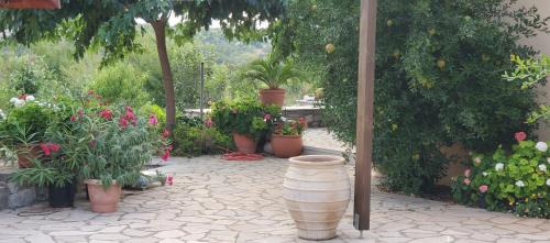 Fokiano House | Serene Stone House in Leonidion - Perfect for Families