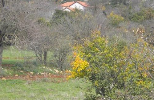 Fokiano House | Serene Stone House in Leonidion - Perfect for Families