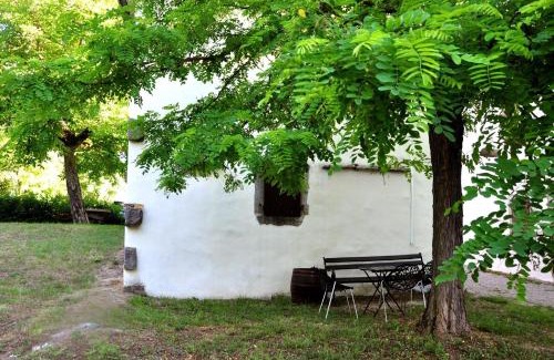 Kotli House | Cozy Retreat for 4 in Kotli, Istria with Pool & Pets Welcome