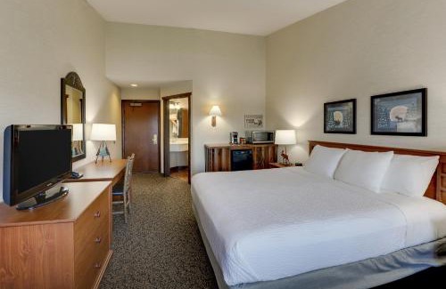 Columbia Hotel | Pet-Friendly Stoney Creek Hotel Columbia with Ocean View