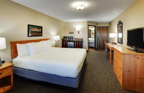 Moline Hotel | Pet-Friendly Stoney Creek Hotel Moline with Pool & Breakfast