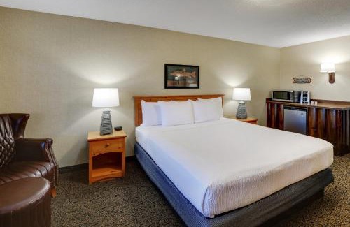 Moline Hotel | Pet-Friendly Stoney Creek Hotel Moline with Pool & Breakfast