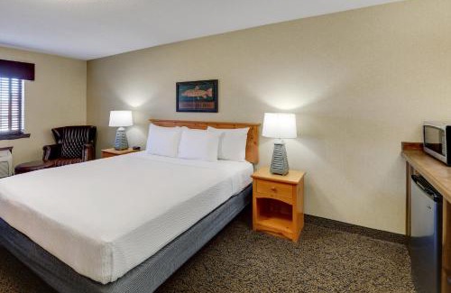 Moline Hotel | Pet-Friendly Stoney Creek Hotel Moline with Pool & Breakfast