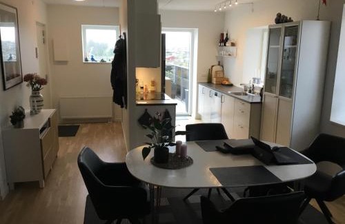 Abyhøj Apartment | Spacious Apartment Near Aarhus C with Rooftop Terrace
