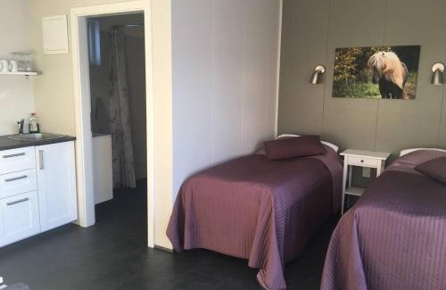 Sveitarfelagid Olfus Apartment | Family-Friendly Strýta Apartment 3 with High Guest Ratings