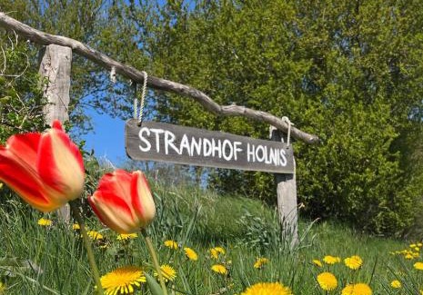 Gluecksburg House | Relax at Strandhof Holnis: Oceanfront Retreat with Pool