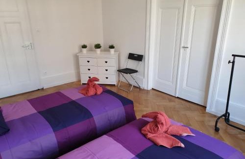 Poincare Apartment | Exceptional Stay at STRASBOURG CENTRE le 85 Near Amenities