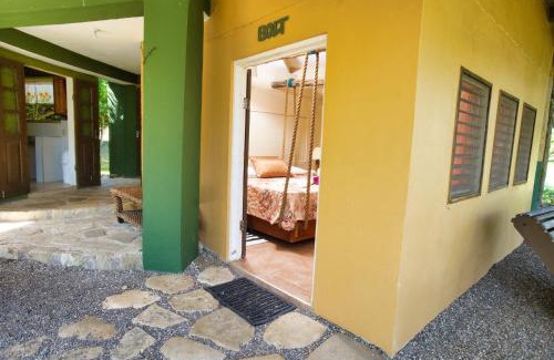 Robins Bay Hotel | Experience Strawberry Fields Together: Pet-Friendly Paradise