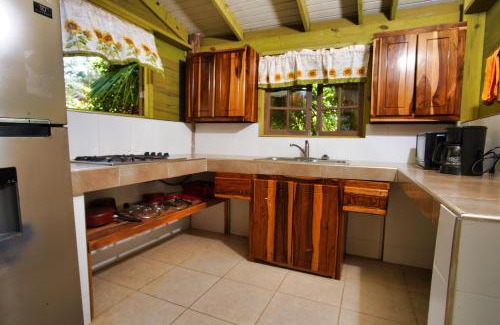 Robins Bay Hotel | Experience Strawberry Fields Together: Pet-Friendly Paradise
