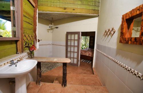 Robins Bay Hotel | Experience Strawberry Fields Together: Pet-Friendly Paradise