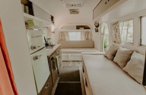 Cosby House | Unique Airstream Stay Near Smoky Mountains, Family Friendly