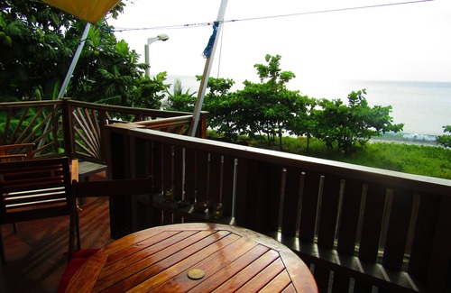 Rifflet Apartment | Cozy Studio Tortue Luth with Ocean View & Pool Access
