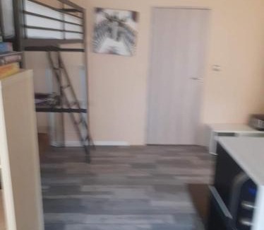 Allerey-sur-Saone Apartment | Cozy Studio for 2 or 3 with Pet-Friendly Amenities