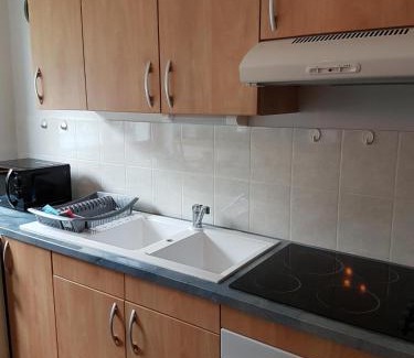 Modane Apartment | Cozy Studio 21 M2 with Pet and Child-Friendly Perks