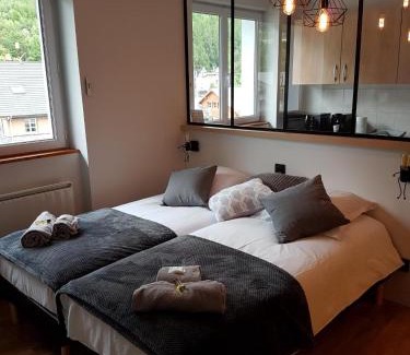 Modane Apartment | Comfortable Studio 26 m² - Pet and Child Friendly Getaway