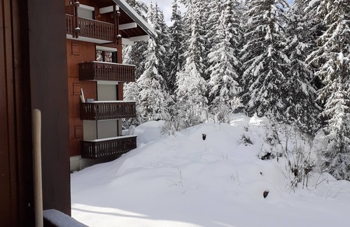Mieussy Apartment | Comfortable Studio for 3 in Sommand Ski Resort