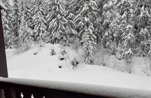 Mieussy Apartment | Comfortable Studio for 3 in Sommand Ski Resort