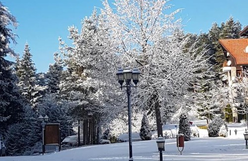 Samokov Apartment | Discover Studio 38 at Borovets Hills: Guest Rated 9/10