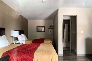 Downtown Vancouver Hotel | Budget-Friendly Econo Lodge with Pet and Child Amenities