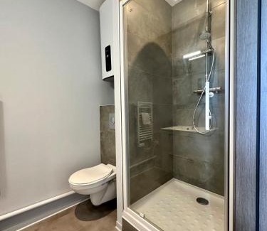 Vandoeuvre-les-Nancy Apartment | Studio 63 Rénové et Équipé - Nancy Brabois proche CHRU,CESI,FAC