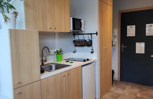 Vandoeuvre-les-Nancy Apartment | Studio 74 Rénové et Équipé - Nancy CHRU,CESI,FAC