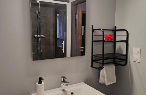 Vandoeuvre-les-Nancy Apartment | Studio 74 Rénové et Équipé - Nancy CHRU,CESI,FAC