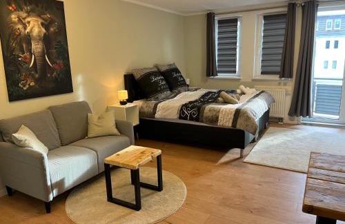 Mickten Apartment | Delightful Studio by the Elbe with Balcony and Netflix