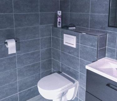 Nove Mesto na Morave Apartment | Studio apartment 2