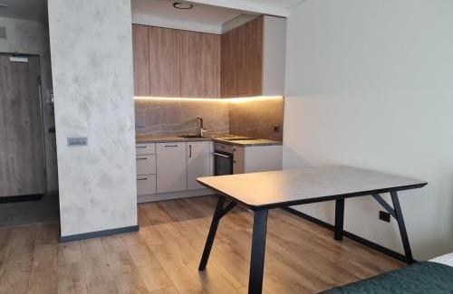 Vilnius city municipality Apartment | Cozy Studio Apartment with Balcony for Your Getaway