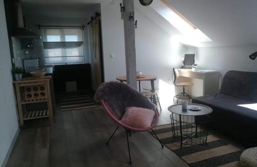Dreznik Grad Apartment | Top-Rated Studio Apartment HANA with Hot Tub & Family-Friendly