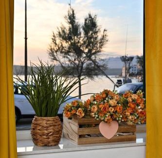 Novigrad Apartment | Top-Rated Studio Apartman Ivan: Pet-Friendly Getaway