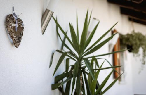 Osijek Apartment | Perfectly Located Studio Apartman PlanB with Self CHECK IN